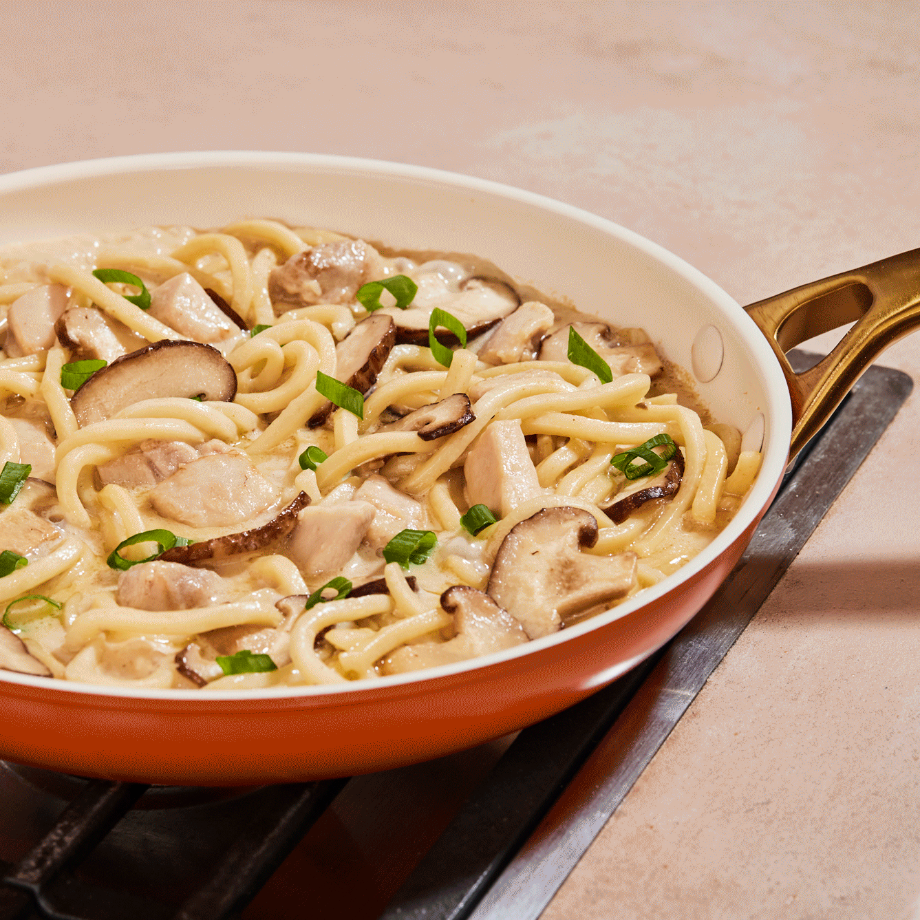 Creamy Udon Noodles with Chicken & Shiitake Mushrooms-MìLà