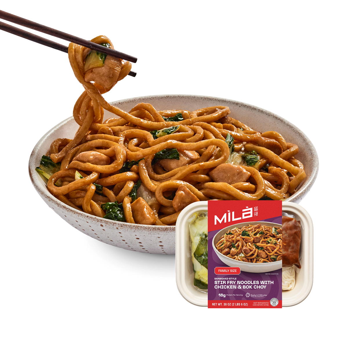 Stir Fry Noodles with Chicken & Bok Choy