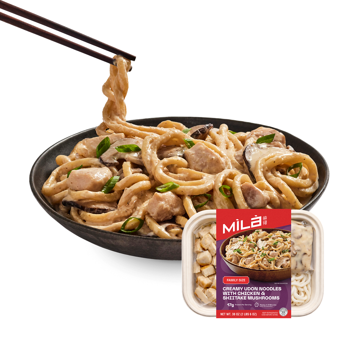 Creamy Udon Noodles with Chicken & Shiitake Mushrooms